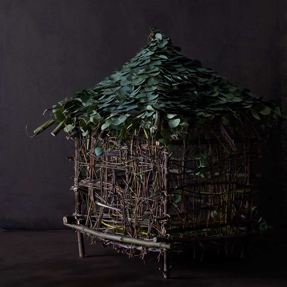 はいいろオオカミ