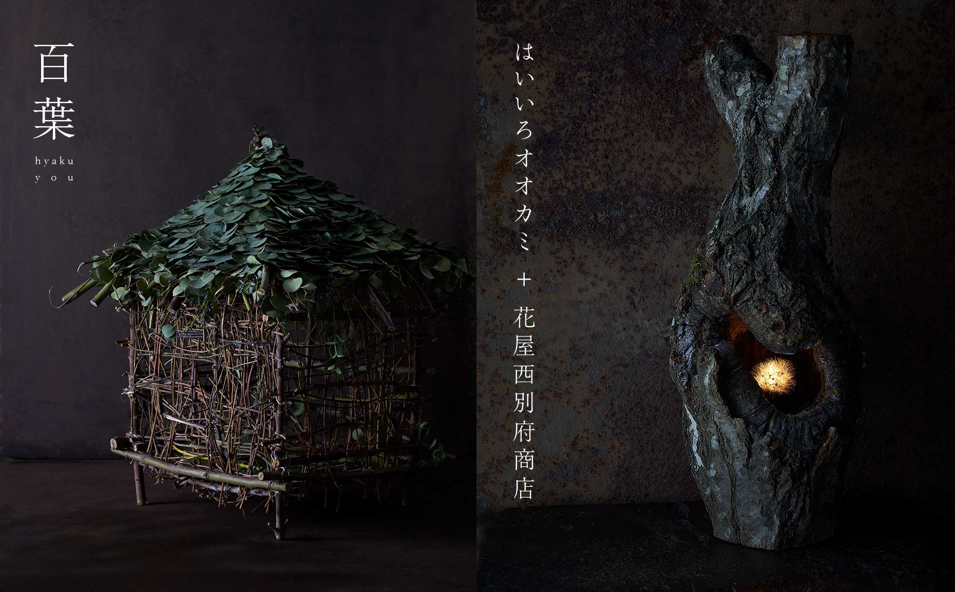 はいいろオオカミ＋ 花屋西別府商