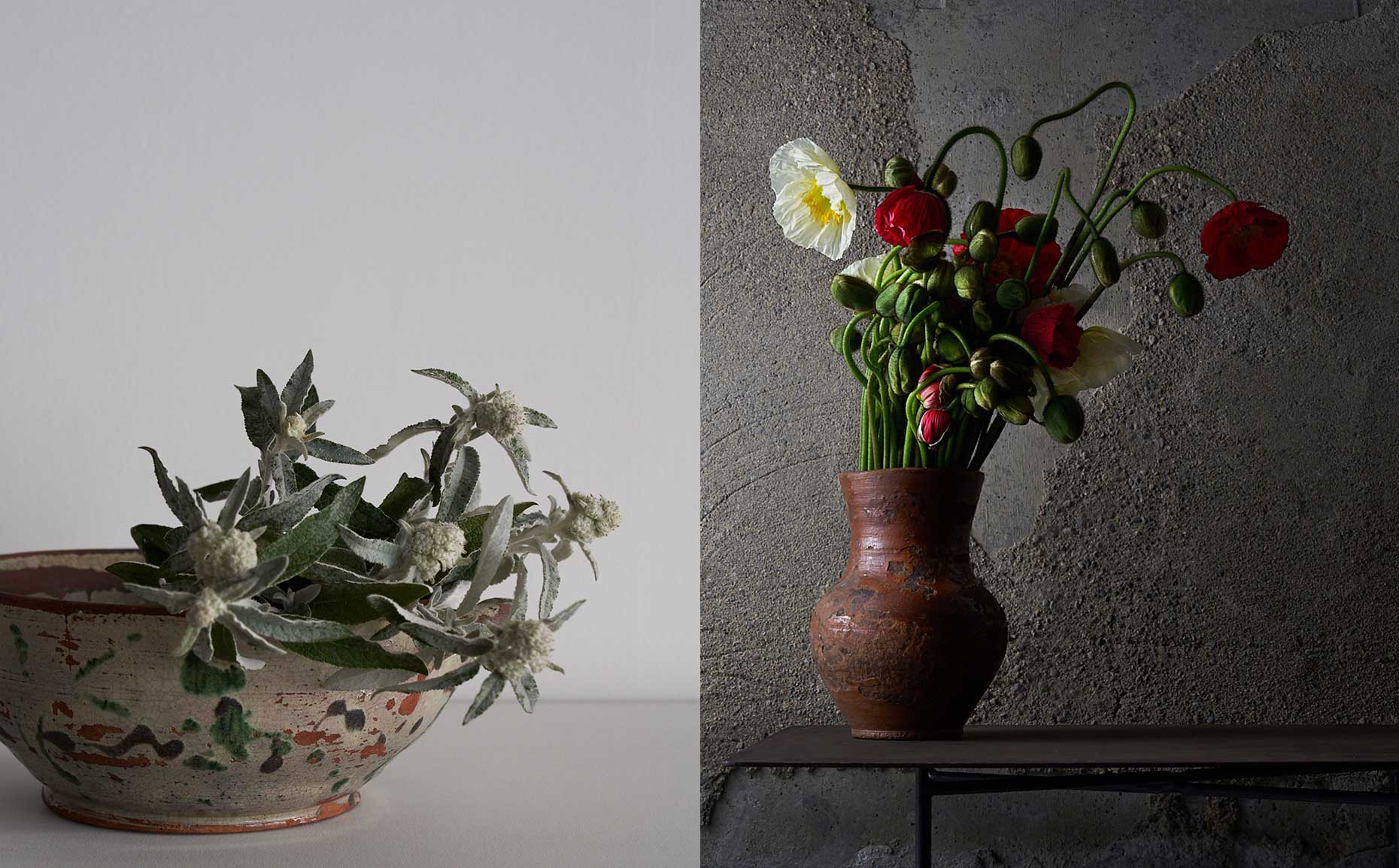 はいいろオオカミ＋ 花屋西別府商