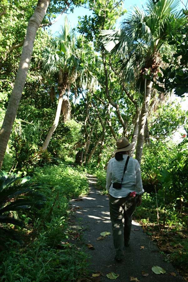 NISHIISHIGAKI Yuriko