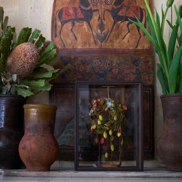 はいいろオオカミ