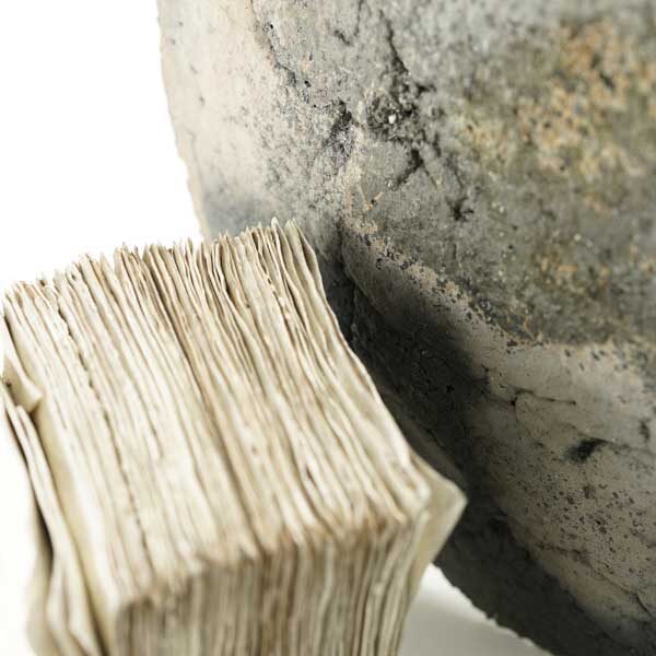 HIOKI Tetsuya and MORITA Haruna